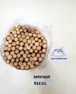 SARKANDA REED FOR FLOAT MAKING x 12 pcs