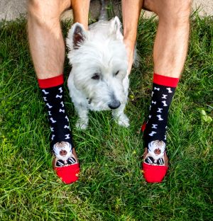 CHAUSSETTES COULEUR COTON Chien