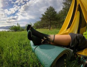 SOCKEN WANDERSOCKEN Try to Fly Wolf